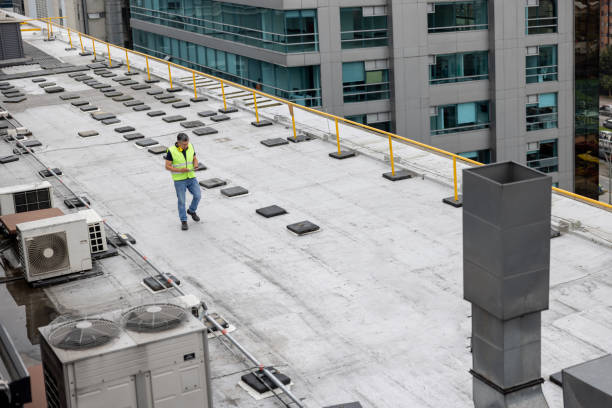 Best Roof Insulation Installation  in Lochearn, MD