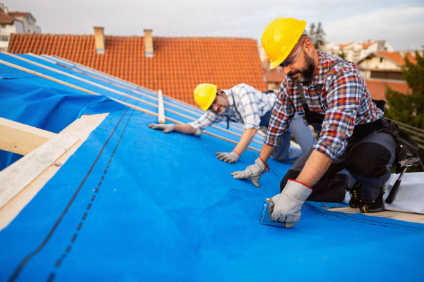 Roof Insulation in Lochearn, MD