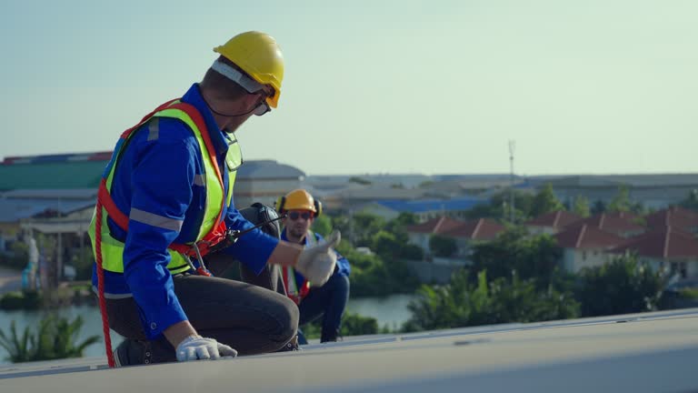 Best Roof Insulation Installation  in Lochearn, MD
