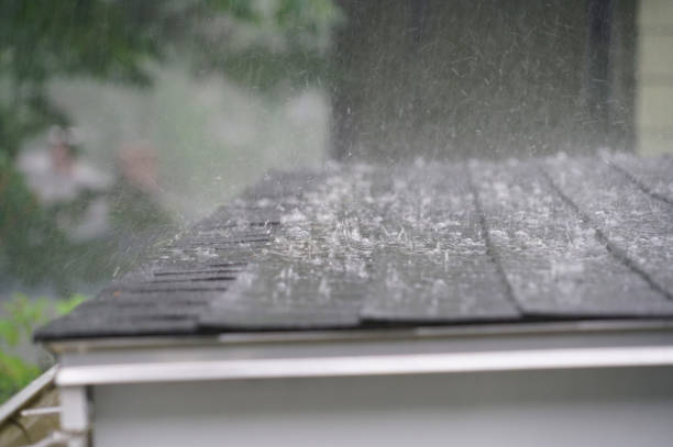 Best Rubber Roofing (EPDM, TPO)  in Lochearn, MD